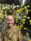 Thăm "nàng Juliet" 92 tuổi ở Khu dưỡng lão nghệ sĩ