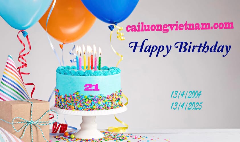 21 bd